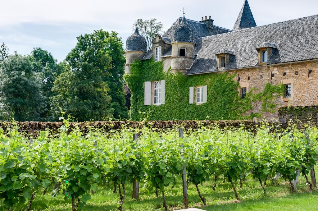 Chateau De Labro - Teritoria Onet-le-Chateau Bagian luar foto